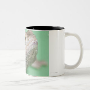 Bearded dragon 2 Two-Tone coffee mug