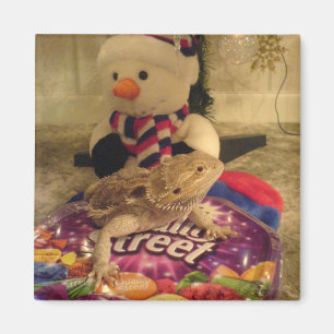 bearded dragon and snowman magnet