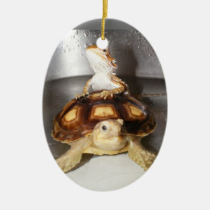 Bearded Dragon and Sulcata Tortoise Ceramic Ornament
