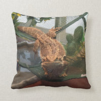Bearded Dragon and Veiled Chameleon Pillow