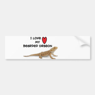 Bearded dragon Bumper Sticker