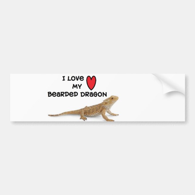 Bearded dragon Bumper Sticker (Front)