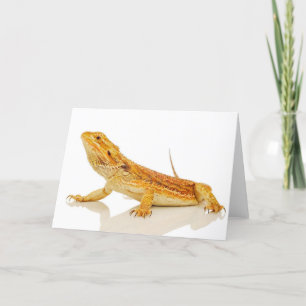 Bearded Dragon Card