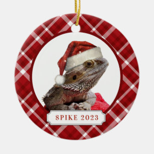 Bearded Dragon Ceramic Circle Ornament