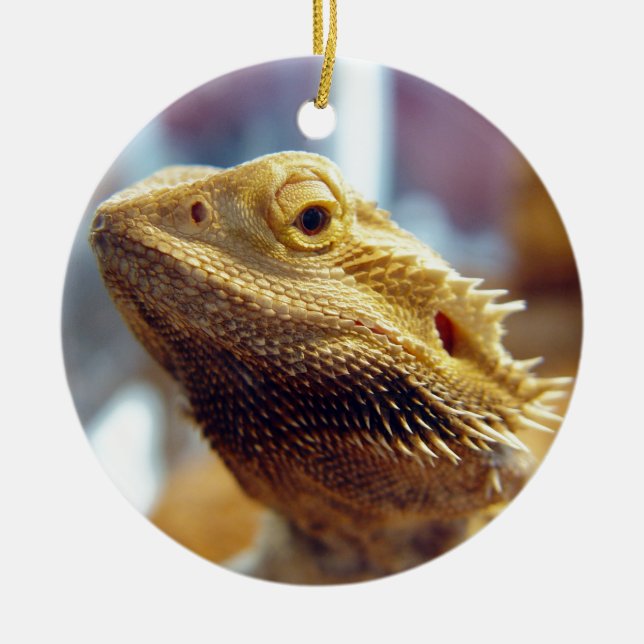 Bearded Dragon Ceramic Tree Decoration (Front)