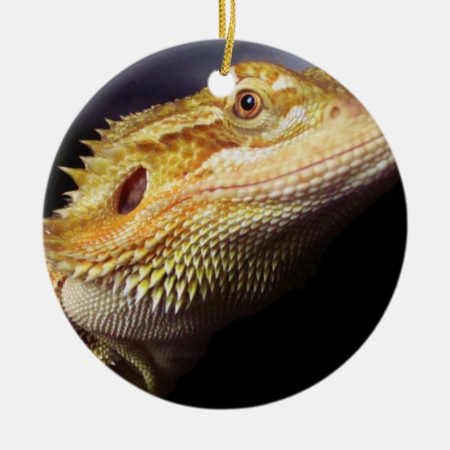 Bearded Dragon Head 2 Ceramic Tree Decoration (Front)