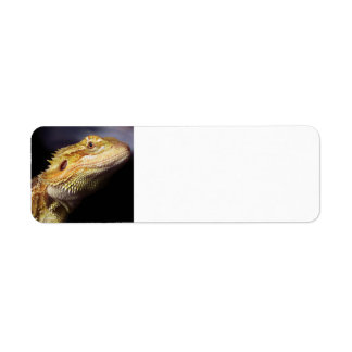 Bearded Dragon Head 2 Return Address Label