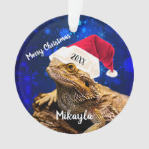Bearded Dragon in Santa Hat