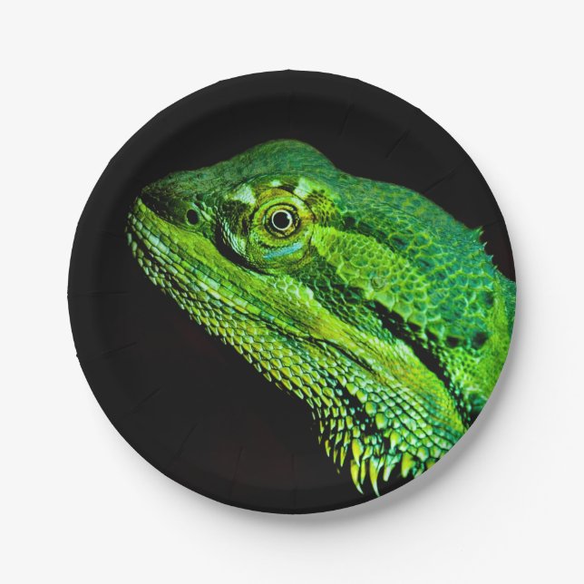 Bearded dragon lizard paper plate (Front)