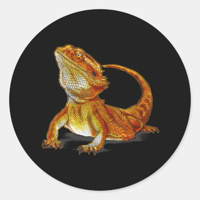 Bearded Dragon Lizard Terraristic Wildlife Animal Classic Round Sticker (Front)