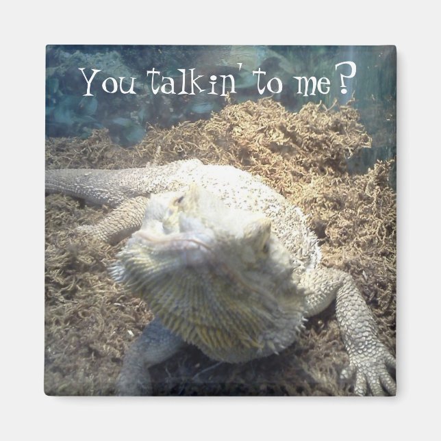 Bearded Dragon Magnet (Front)