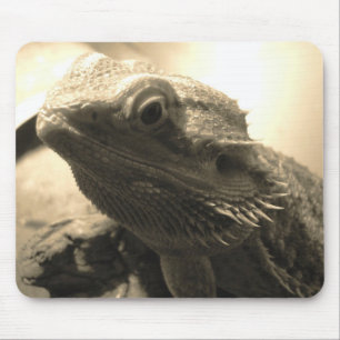 Bearded Dragon Mouse Pad