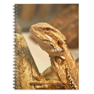 Bearded Dragon Notebook