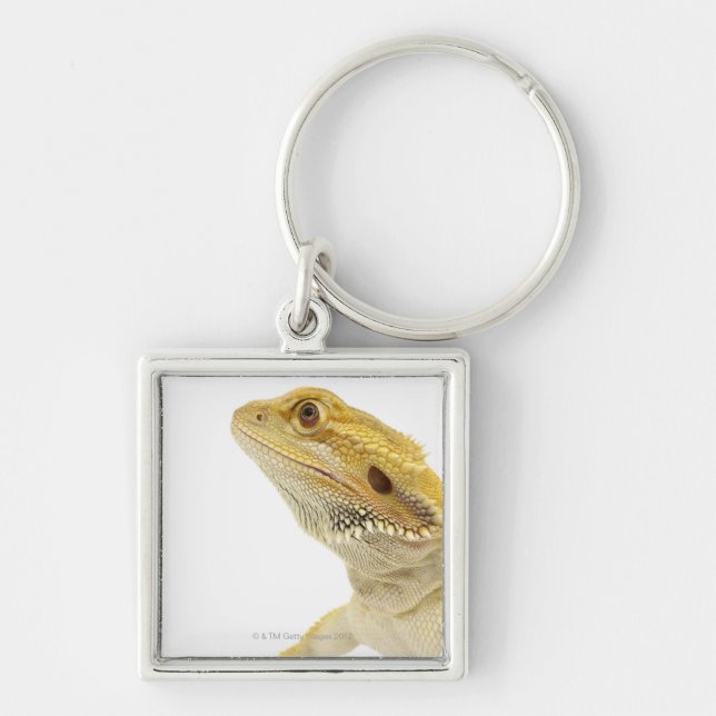 Bearded dragon (Pogona Vitticeps) Key Ring (Front)