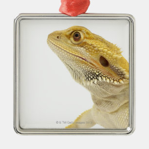 Bearded dragon (Pogona Vitticeps) Metal Ornament