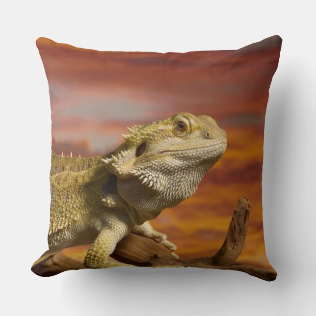 Bearded dragon (Pogona Vitticeps) on branch, Cushion (Front)