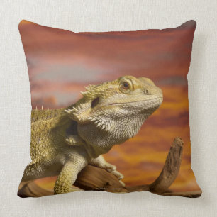 Bearded dragon (Pogona Vitticeps) on branch, Cushion