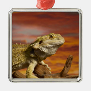 Bearded dragon (Pogona Vitticeps) on branch, Metal Tree Decoration