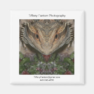 Bearded Dragon Promo Piece Magnet