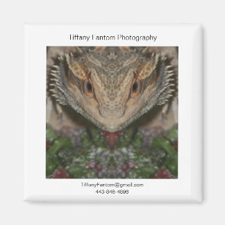 Bearded Dragon Promo Piece Magnet