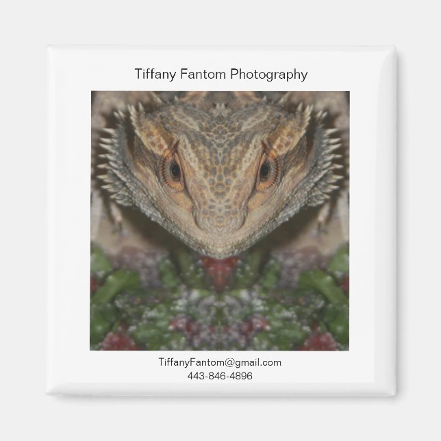 Bearded Dragon Promo Piece Magnet (Front)