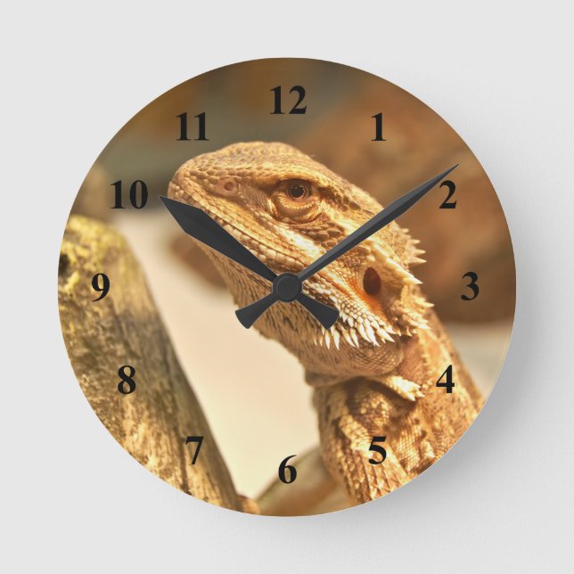 Bearded Dragon Round Clock (Front)