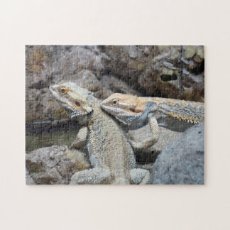 Bearded Dragons Jigsaw Puzzle