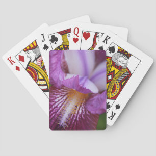 Bearded German Iris Playing Cards