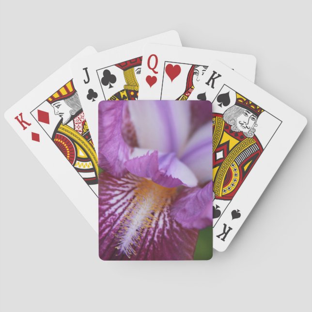 Bearded German Iris Playing Cards (Back)
