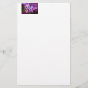 Bearded German Iris Stationery