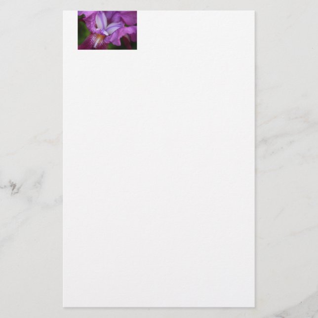 Bearded German Iris Stationery (Front)