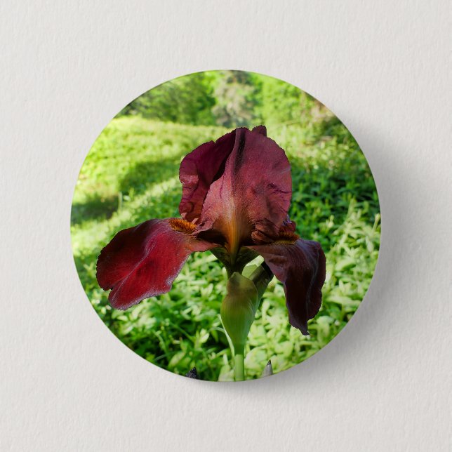 Bearded Iris Badge (Front)