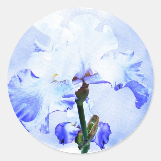 Bearded Iris - Blue And White Classic Round Sticker (Front)