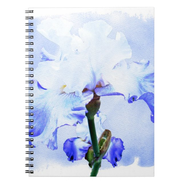 Bearded Iris - Blue And White Notebook (Front)