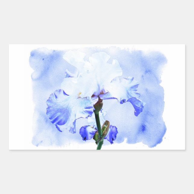 Bearded Iris - Blue And White Rectangular Sticker (Front)