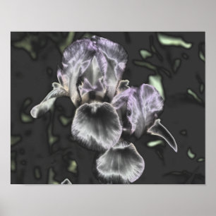 Bearded Iris Flower Pair Metallic Abstract Art Poster