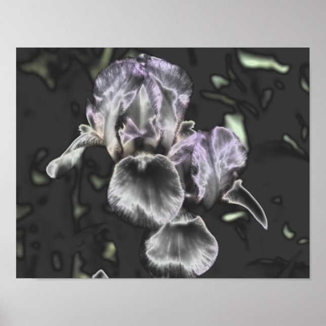 Bearded Iris Flower Pair Metallic Abstract Art  Poster (Front)