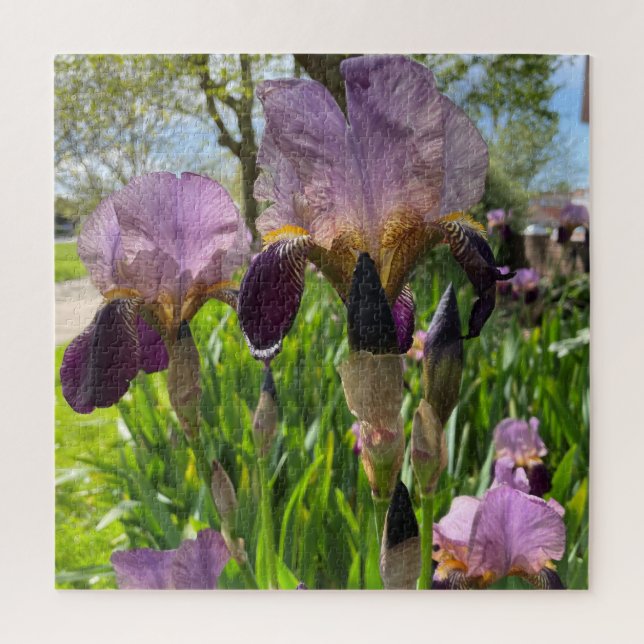 Bearded Iris Jigsaw Puzzle (Vertical)