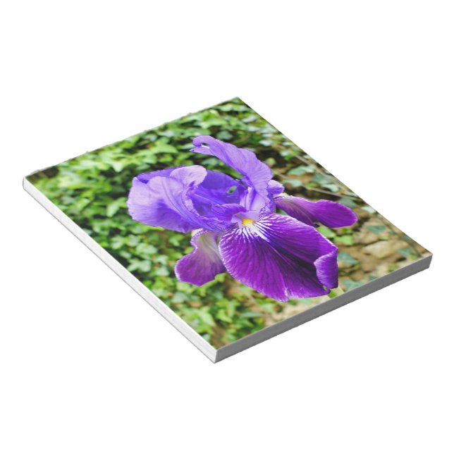 Bearded Iris Notepad (Angled)