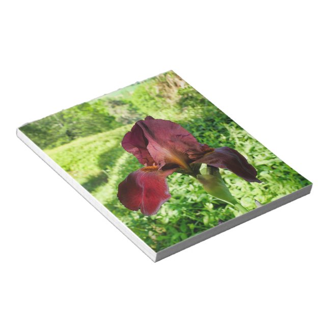 Bearded Iris Notepad (Angled)