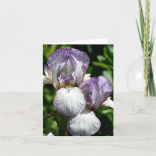 Bearded Iris Pair Flower Photography Note Card