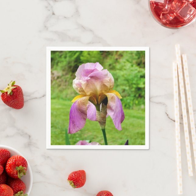 Bearded Iris Paper Napkins (Insitu)
