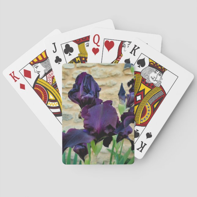 Bearded Iris Playing Cards (Back)