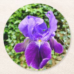 Bearded Iris Round Paper Coaster