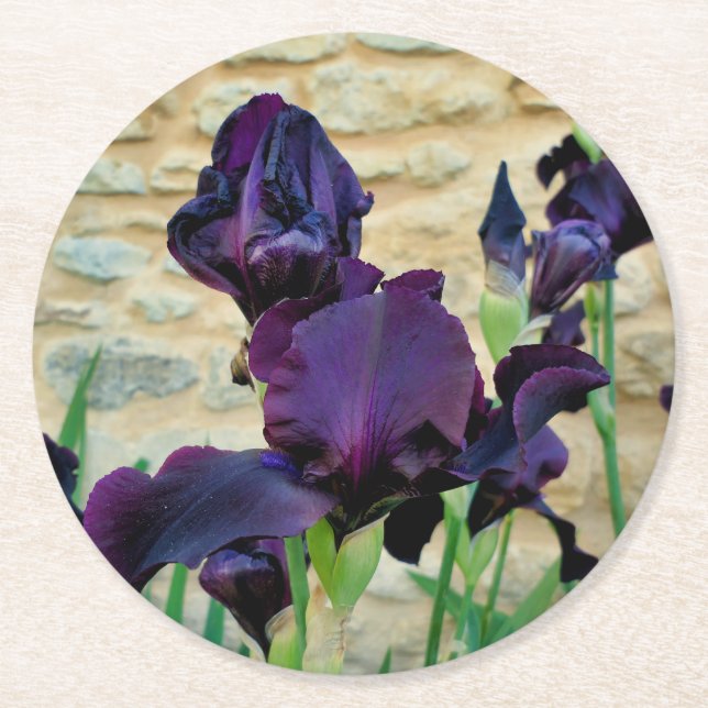 Bearded Iris Round Paper Coaster (Front)