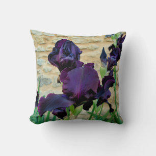 Bearded Iris Throw Cushion