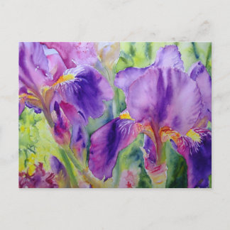 Bearded Ladies Postcard