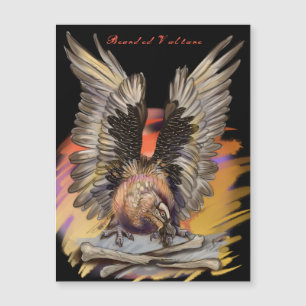 Bearded Vulture