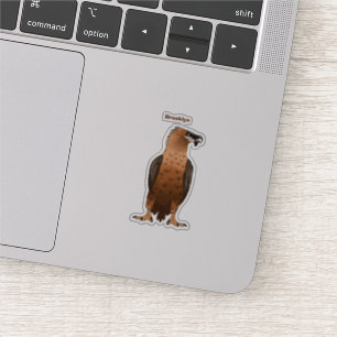 Bearded Vulture cartoon illustration