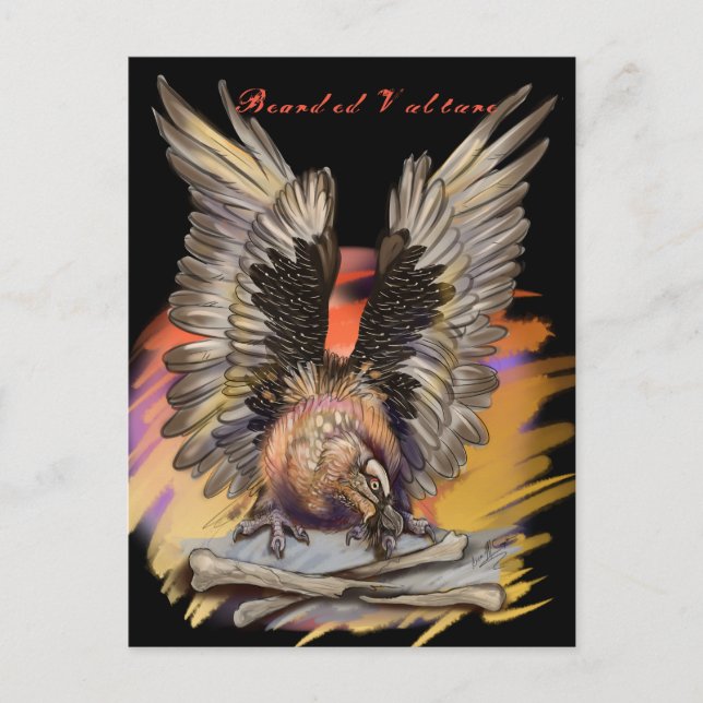 Bearded Vulture Postcard (Front)